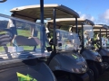 Golf Carts.jpg